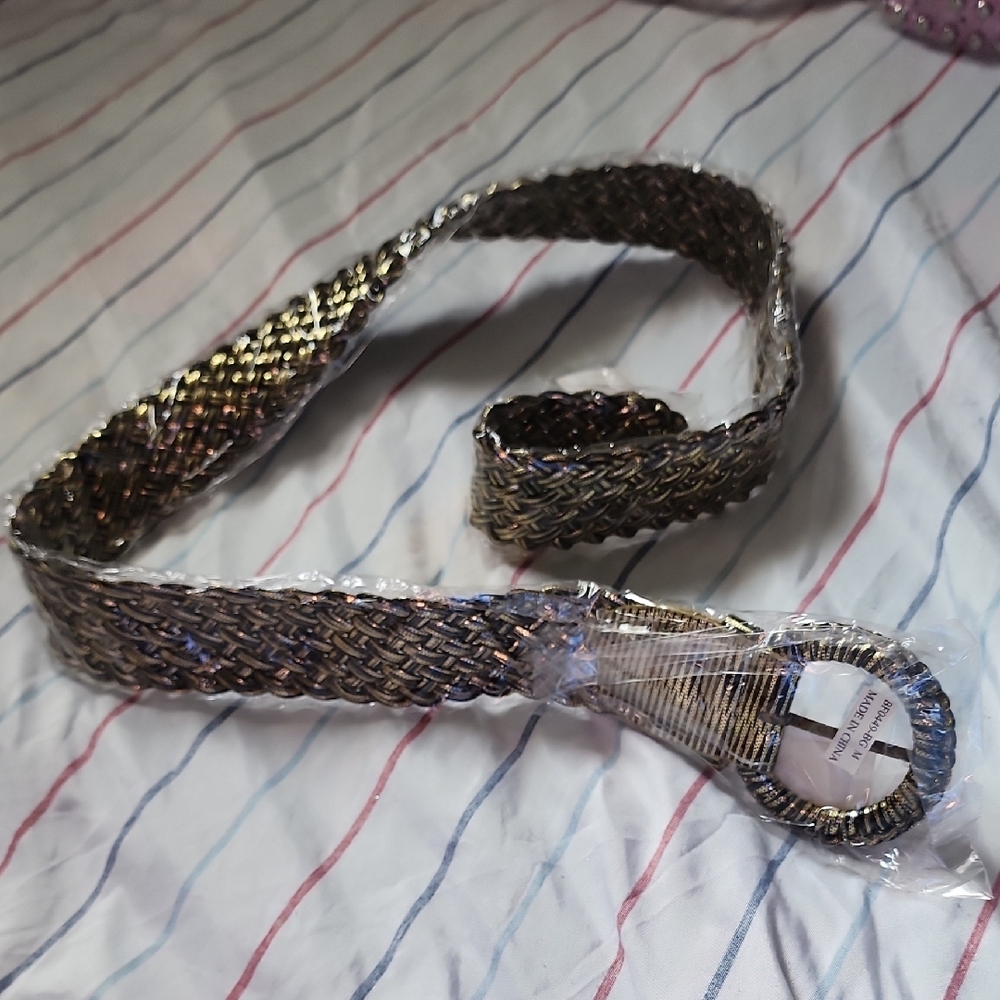 NWT Woven Metallic Belt